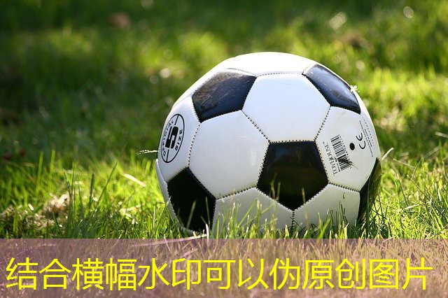 初中训练篮球用器材有哪些