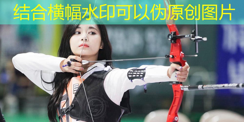 找到最佳的塑胶跑道材料供应商，打造完美的运动场地！