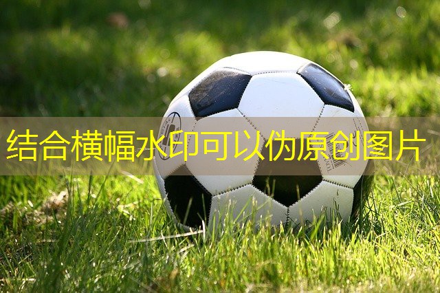 家庭背部训练器材
