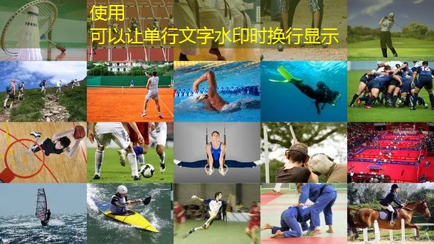 家庭背部训练器材