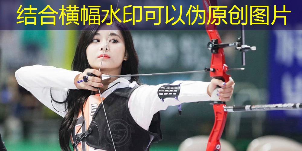 室内哑铃一周健身