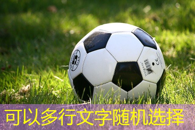 室内健身保健操有哪些