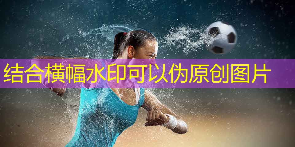 家庭用运动器材