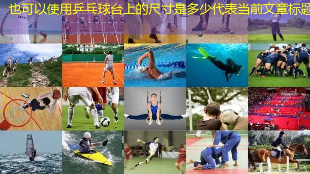 乒乓球台上的尺寸是多少