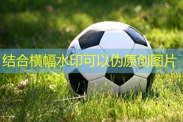 十分钟室内健身